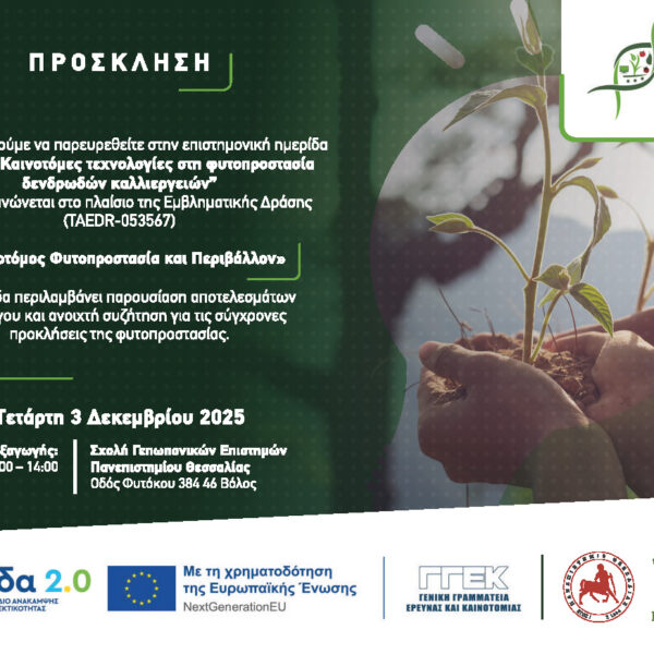 InnoPP 03.12.25 invitation A5 compressed