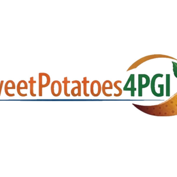 sweetpotato